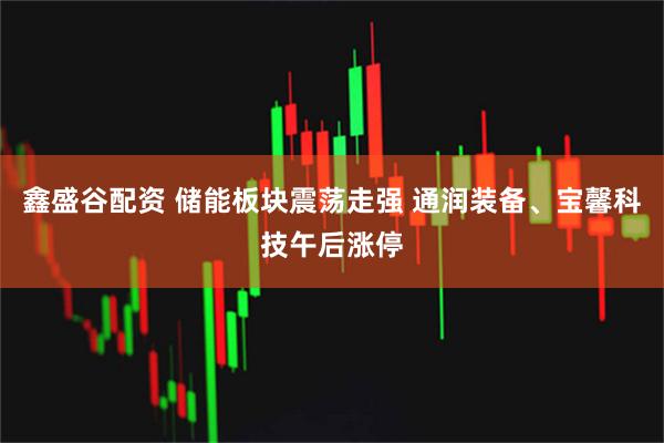 鑫盛谷配资 储能板块震荡走强 通润装备、宝馨科技午后涨停