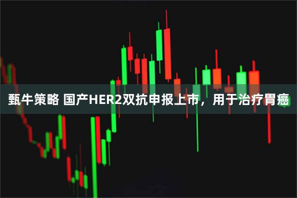 甄牛策略 国产HER2双抗申报上市，用于治疗胃癌
